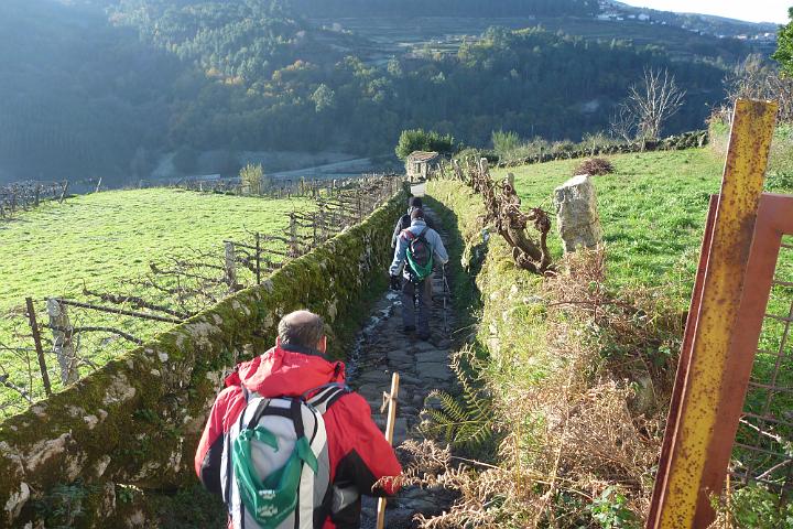 115- Caminho tipico de acesso aos campos.JPG